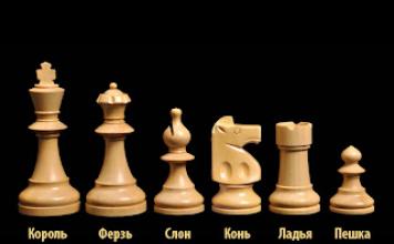 Как играть в шахматы? Правила игры. Как ходят фигуры в шахматах: правила игры, названия и практические советы Шахматные фигуры для начинающих