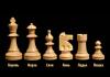 Как играть в шахматы? Правила игры. Как ходят фигуры в шахматах: правила игры, названия и практические советы Шахматные фигуры для начинающих